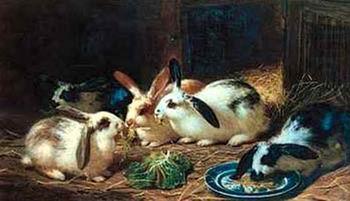 unknow artist Rabbits 116 china oil painting image